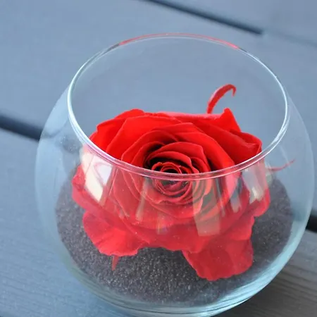 Appartement Mandana Agde