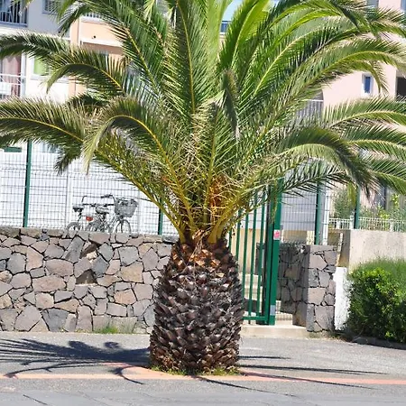 Mandana Appartement *