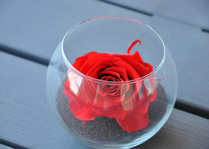 Appartement Mandana Agde