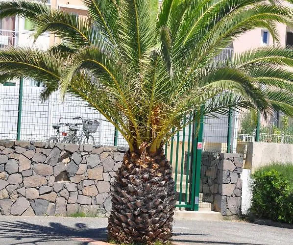 Mandana Appartement *